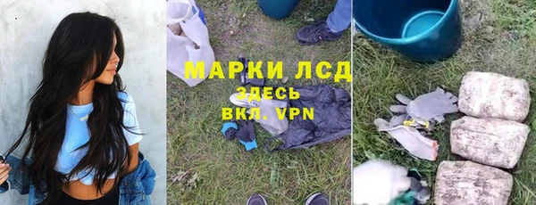 стафф Верея
